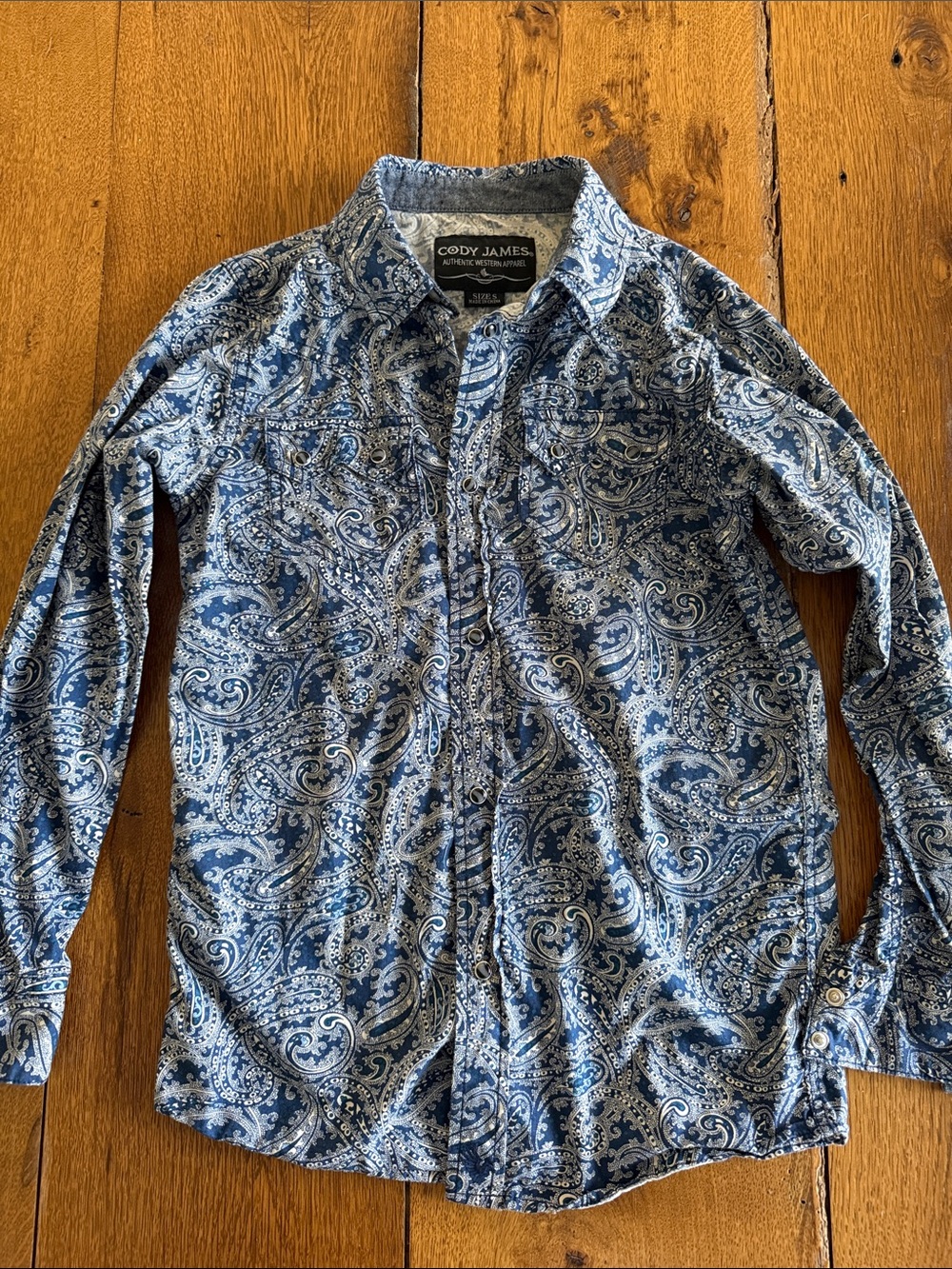 Cody James Blue Paisley Button-Down Shirt for Kids